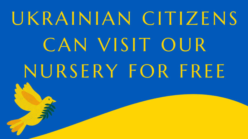 Free admission for Ukrainian citizens