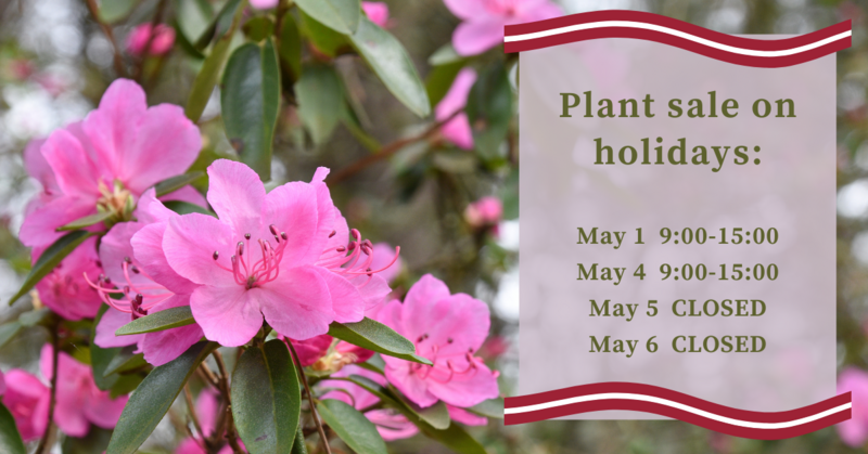 Plant sale working hours during the May holidays