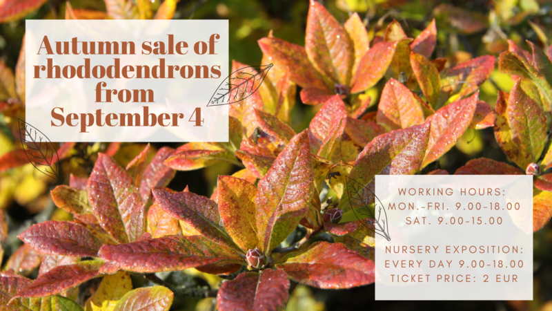 Start of autumn plant sale from September 4