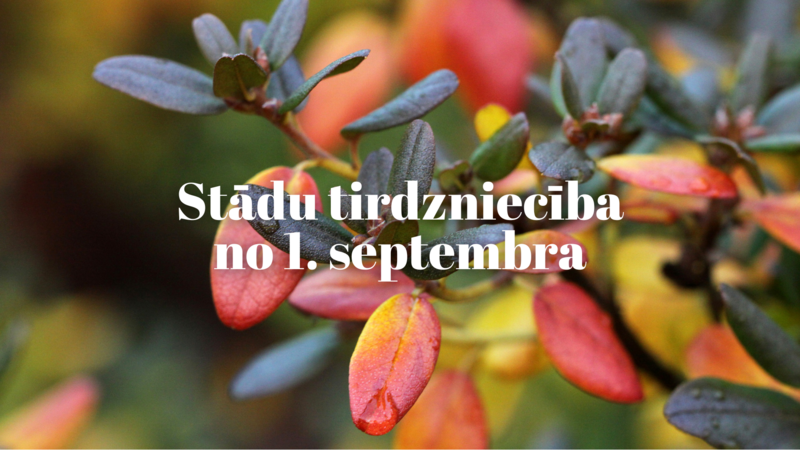 Stādu tirdzniecības sākums!