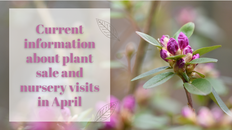 Current information