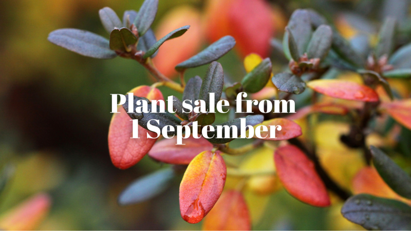 Start of plant sale!