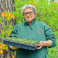 Māra Lapiņa