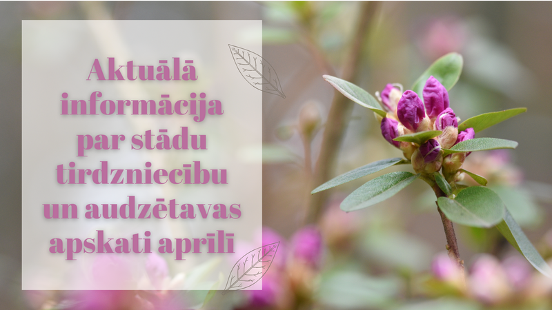 Aktuālā informācija aprīlī