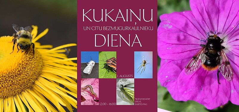 Kukaiņu (un citu bezmugurkaulnieku) diena