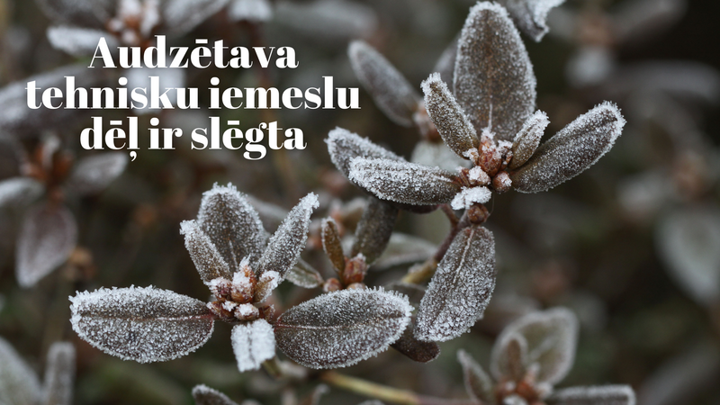 Audzētava tehnisku iemeslu dēļ ir slēgta