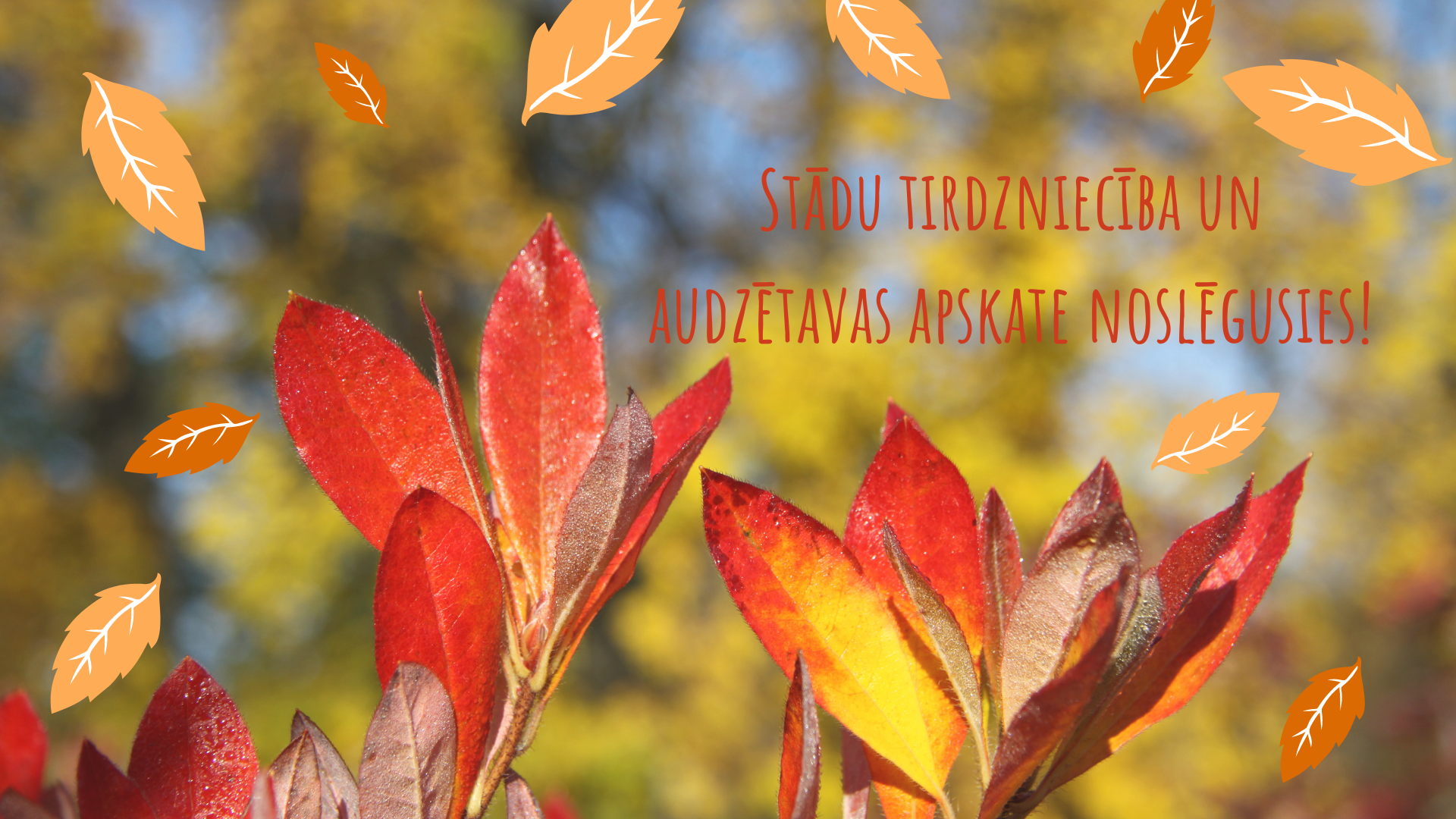 ziņas un tirdzniecība)